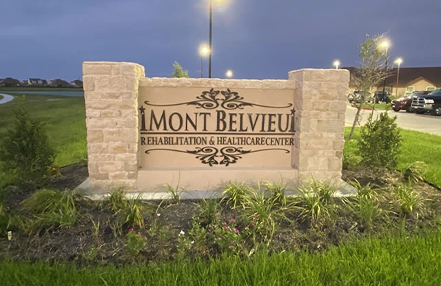 Mont Belvieu Black Car Service and Houston IAH and HOU Airport Transfer