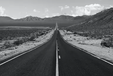 Long Distance Transport