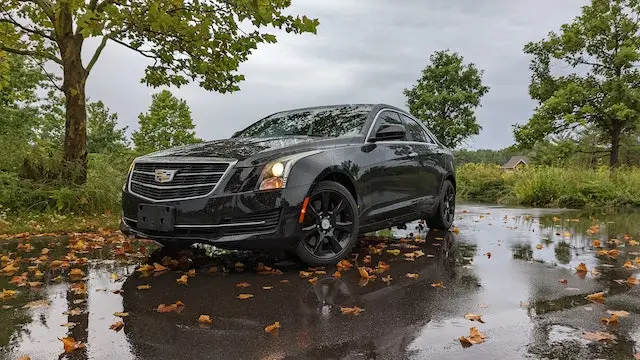 A Cadillac ATS Black Sedan is parked under a tree with autumn leaves in early fall, symbolizing luxury transportation in Galveston.
